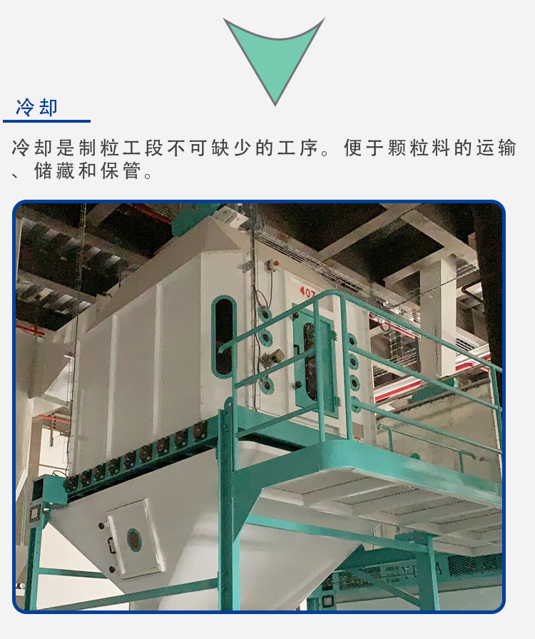 生物質_07.png